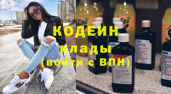 хмурый Гусь-Хрустальный