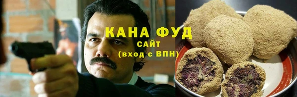 тгк Гусев