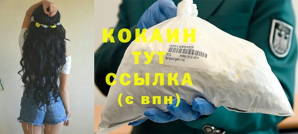 крисы Дмитров