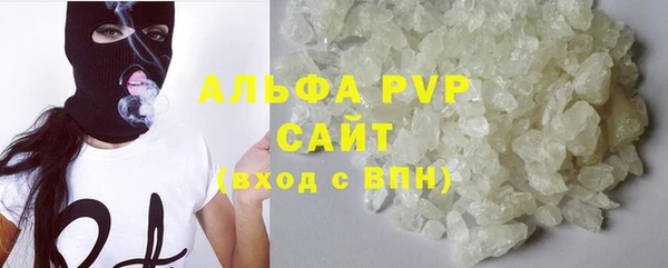 хмурый Гусь-Хрустальный
