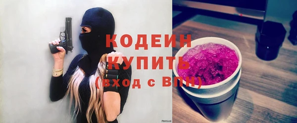 тгк Гусев