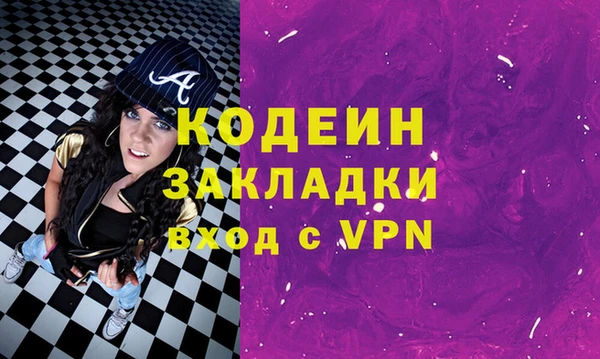хмурый Гусь-Хрустальный