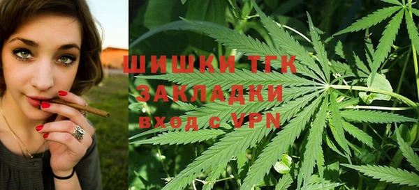 тгк Гусев