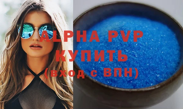 хмурый Гусь-Хрустальный