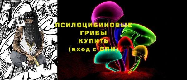 хмурый Гусь-Хрустальный