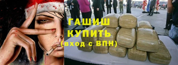 тгк Гусев