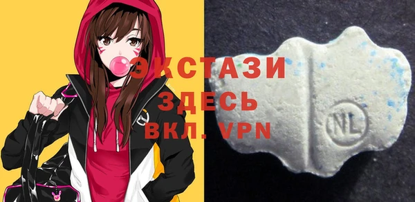 хмурый Гусь-Хрустальный